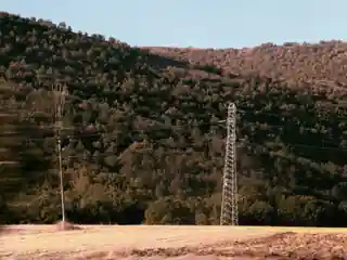 Power lines crossing a wooded hillside in warm evening light